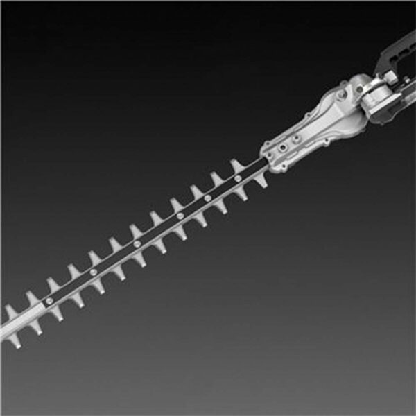 20220110115513 819b2dac